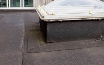 disadvantages of Drope flat roofs